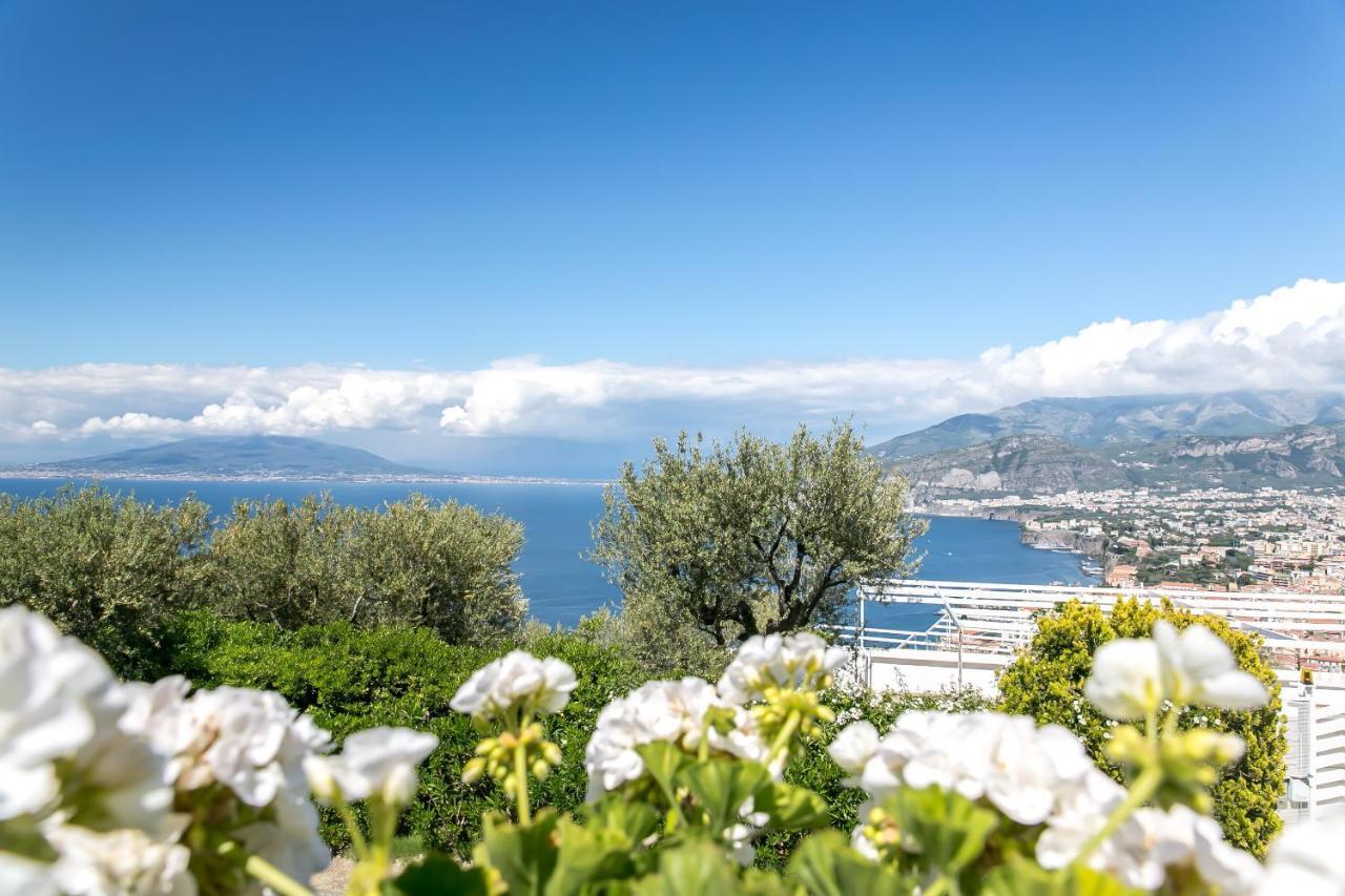 Grand Hotel Aminta Sorrento Esterno foto